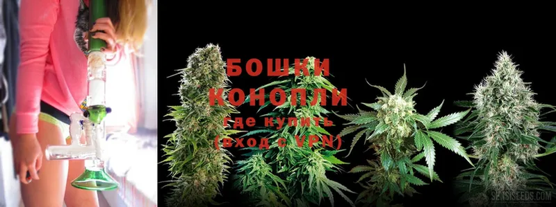 kraken зеркало  Донской  Бошки Шишки OG Kush  купить наркотик 